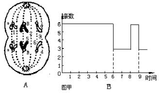 下列对有关细胞分裂的各图分析.正确的有 a.甲.乙两图所示细胞中都有2个染色体组 b.甲.乙两图对应丁图中的cd段 c.甲图可能是卵原细胞的增殖 d.丙图中染色体与