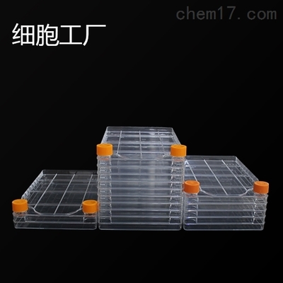 细胞培养 生命科学研究的基础技术