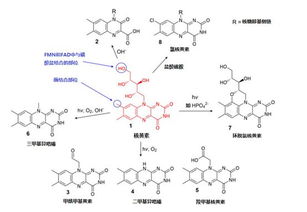 干货|维生素在细胞培养基中的稳定与稳定化策略